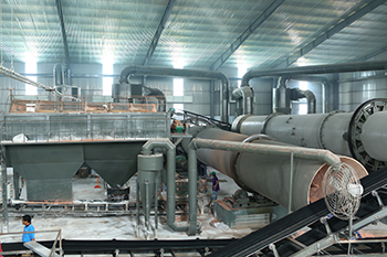 越南轉鼓造粒生產線